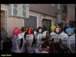 Carnaval de Mula 2013